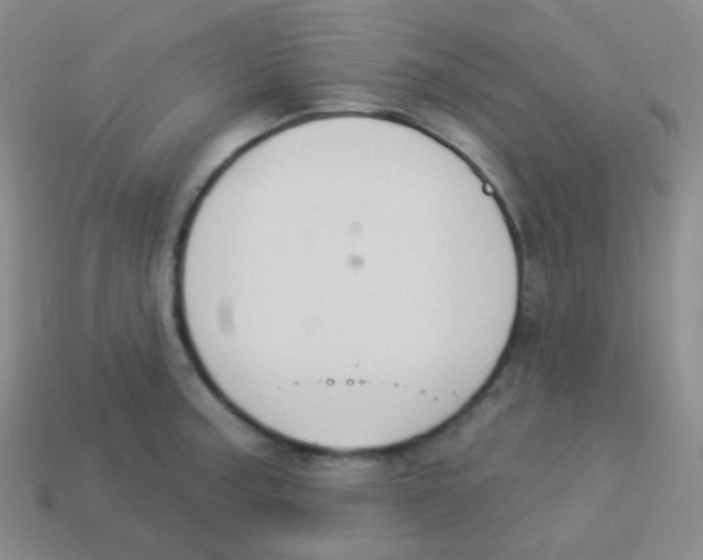 X0000113901187200910221432