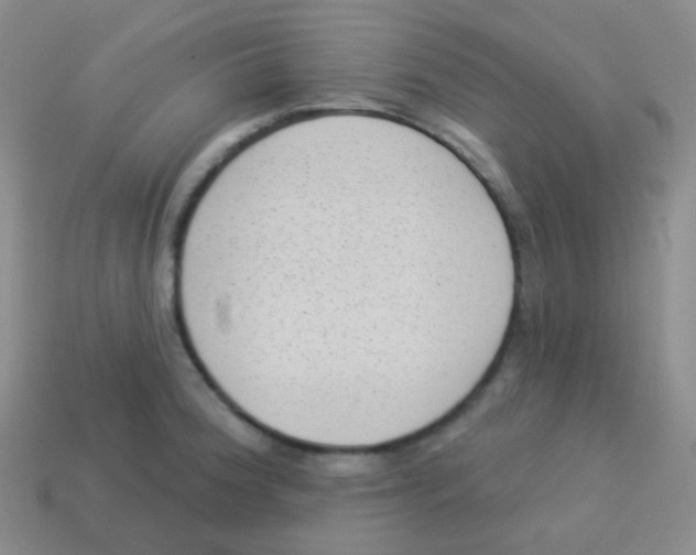 X0000113901188200910221432