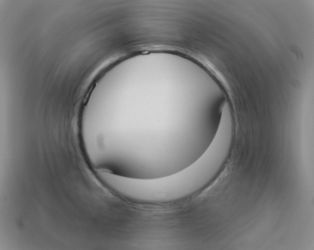 X0000113901189200910221432