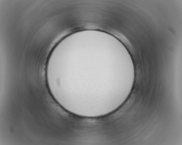 X0000113901190200910221432