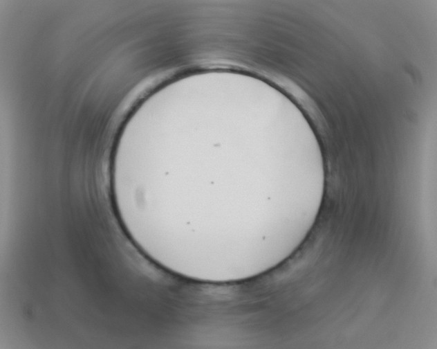 X0000113901191200910221432