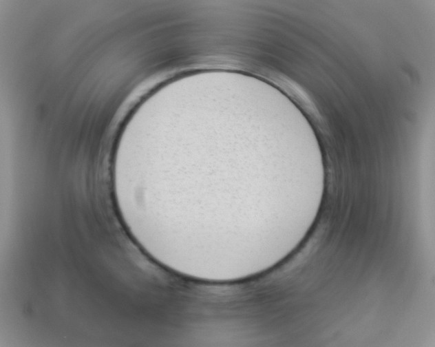 X0000113901192200910221431