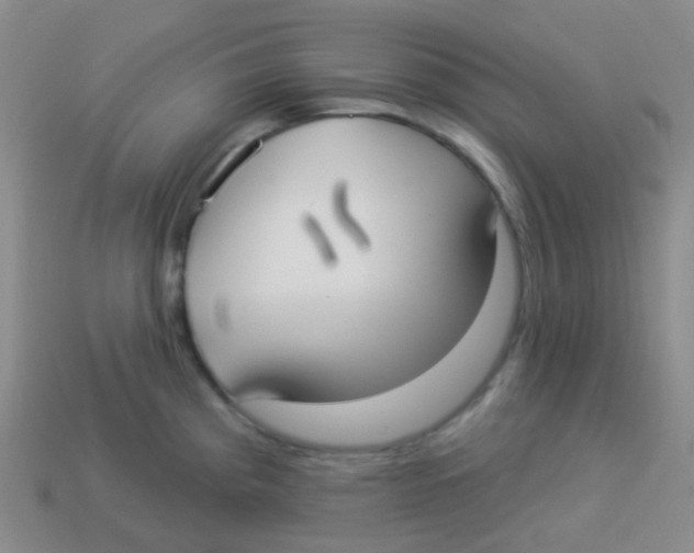 X0000113901193200910221431