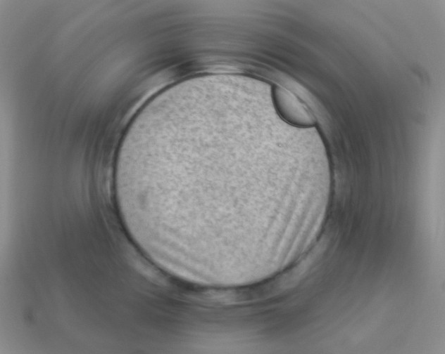 X0000113901194200910221431