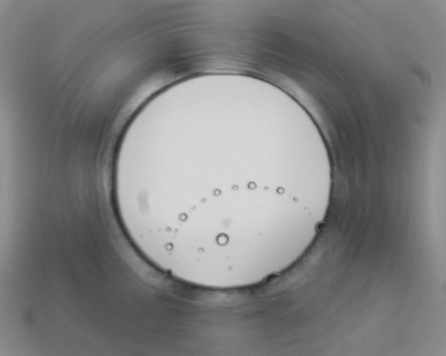 X0000113901195200910221431