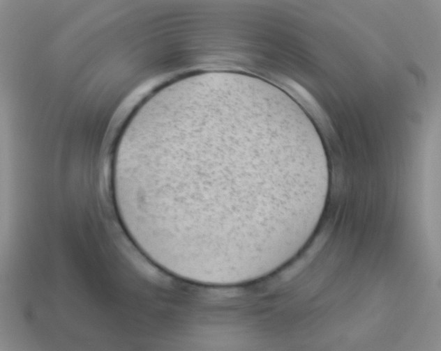 X0000113901196200910221431