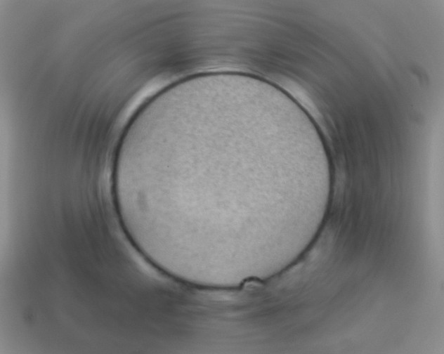 X0000113901197200910221431