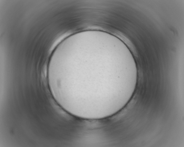 X0000113901198200910221431