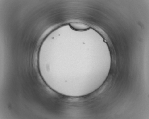 X0000113901199200910221431