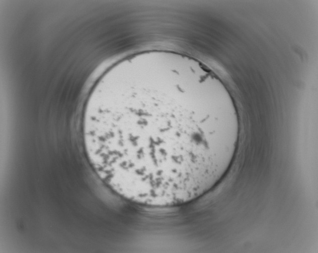 X0000113901200200910221431