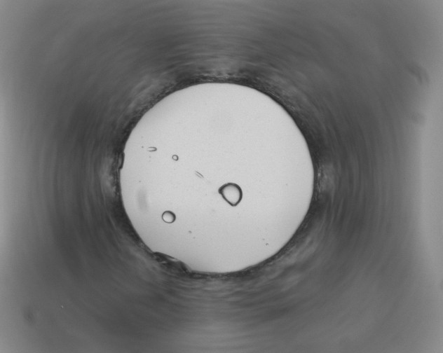 X0000113901202200910221431