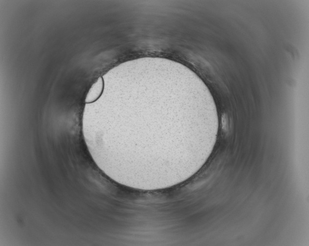 X0000113901203200910221431