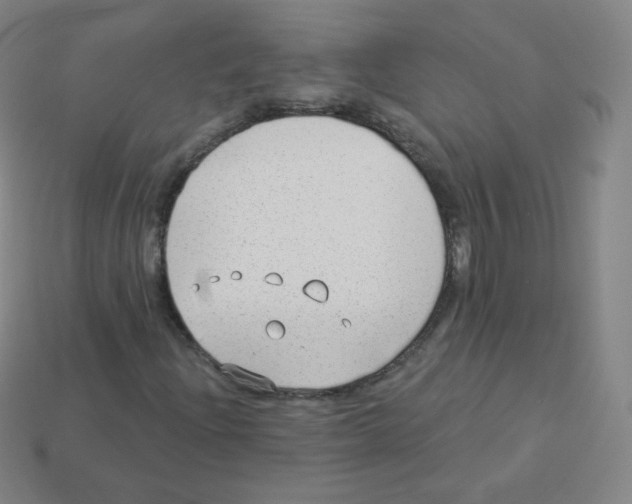 X0000113901204200910221431