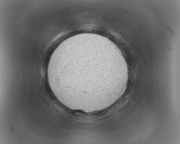 X0000113901206200910221431