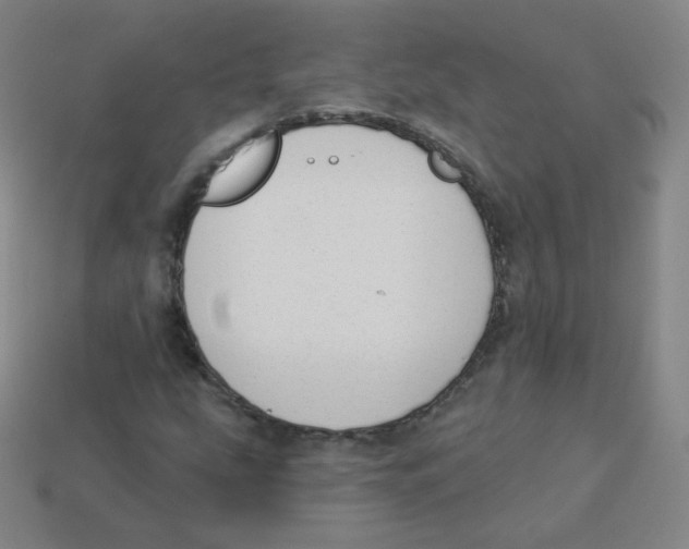 X0000113901207200910221431