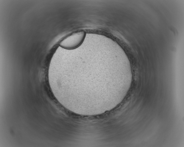 X0000113901208200910221431