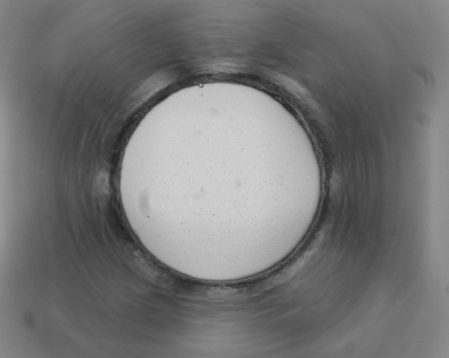 X0000113901209200910221431