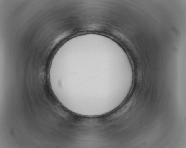 X0000113901210200910221431