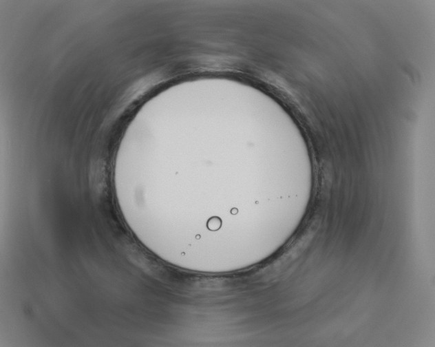 X0000113901211200910221431