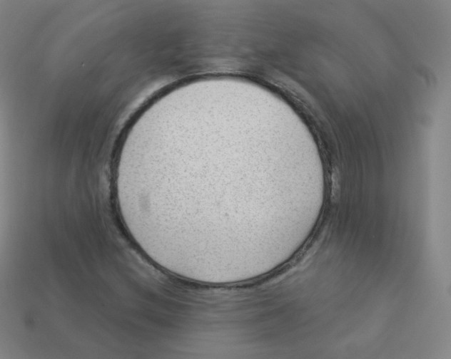 X0000113901212200910221431