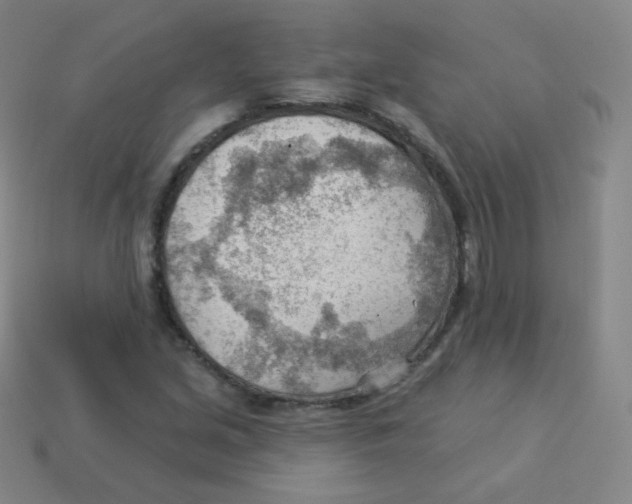 X0000113901213200910221431