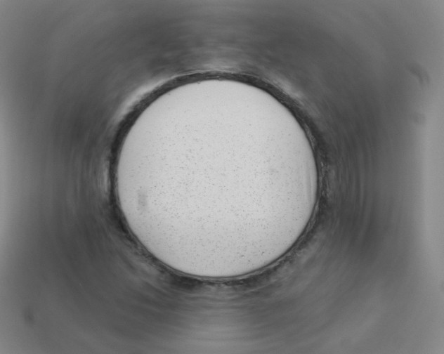 X0000113901214200910221431