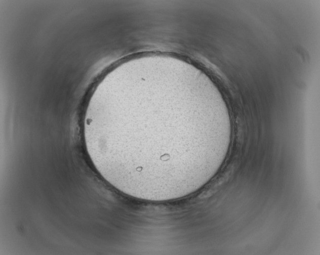 X0000113901215200910221431