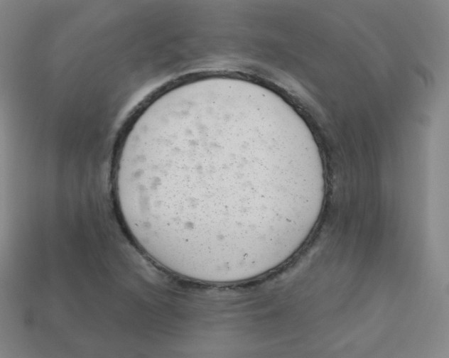 X0000113901216200910221431