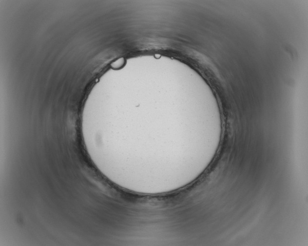 X0000113901217200910221431