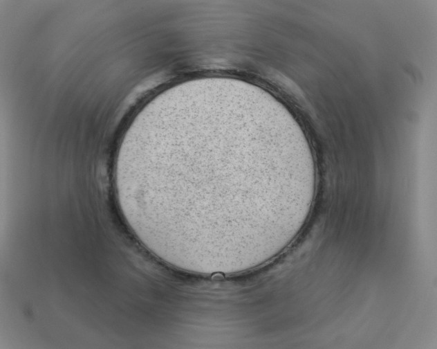 X0000113901218200910221431