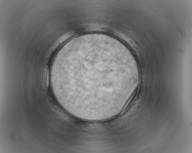 X0000113901219200910221431