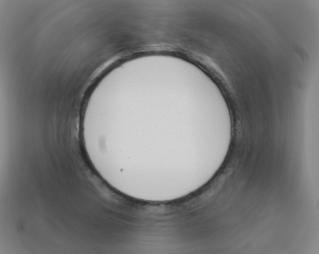 X0000113901220200910221431