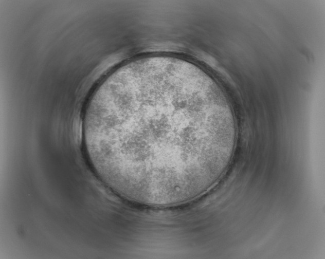 X0000113901221200910221431