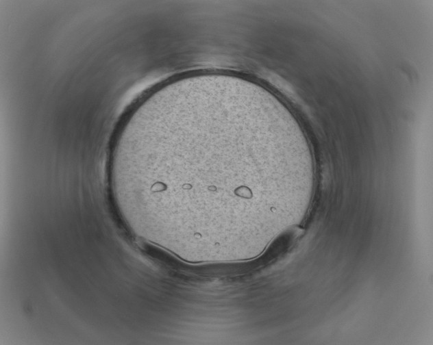 X0000113901222200910221431