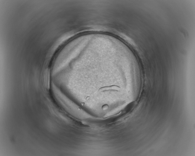 X0000113901223200910221431