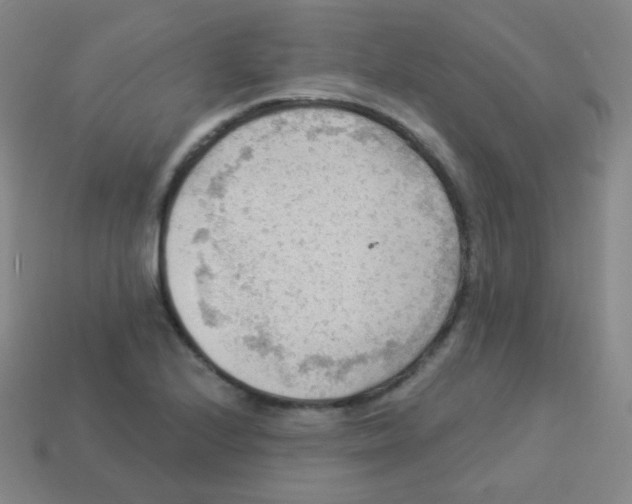 X0000113901224200910221431