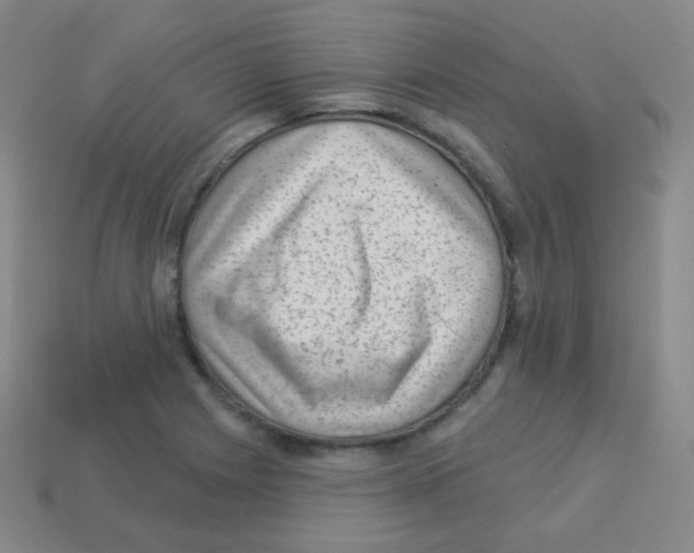 X0000113901225200910221431