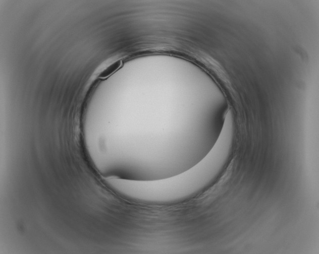 X0000113901226200910221431