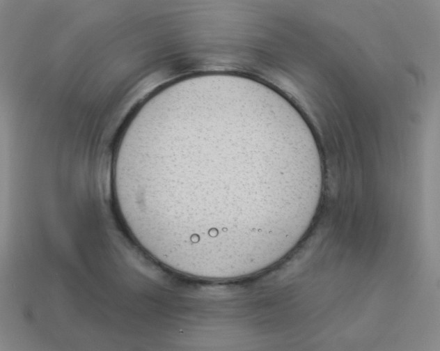 X0000113901227200910221431