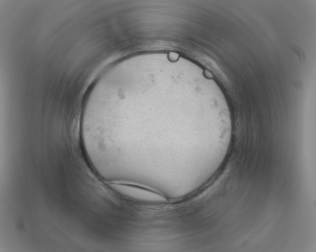 X0000113901228200910221431