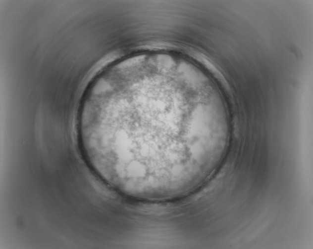 X0000113901229200910221431