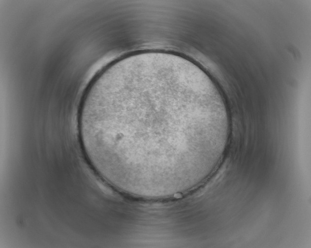 X0000113901230200910221431