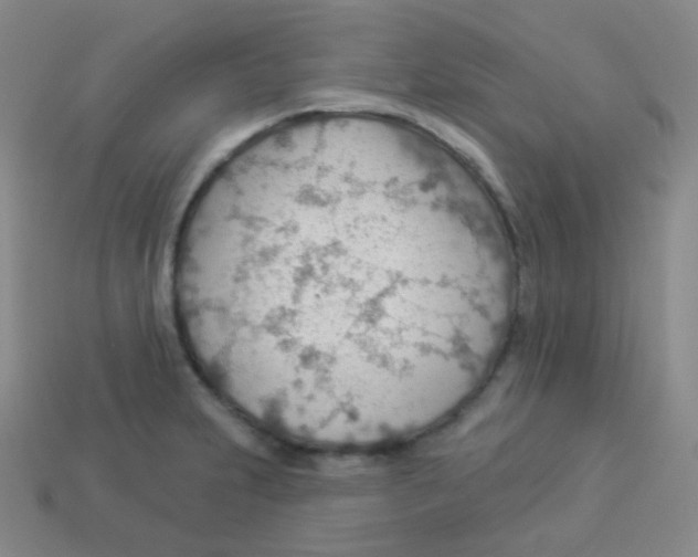 X0000113901231200910221431