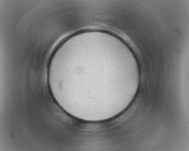 X0000113901232200910221431