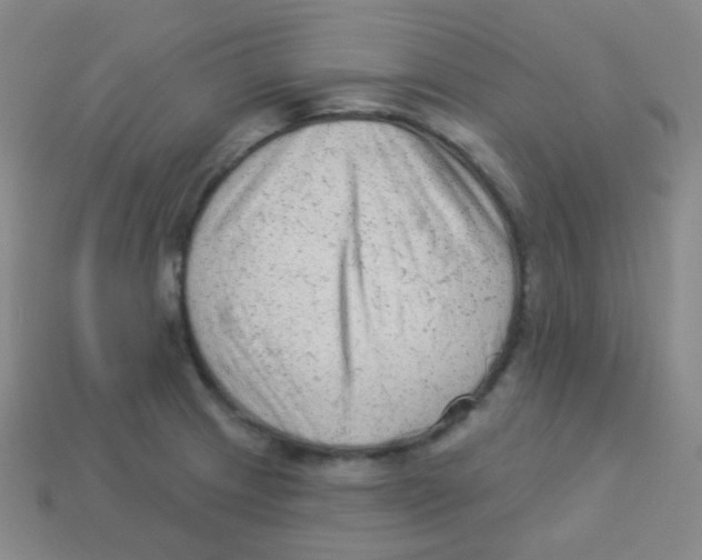 X0000113901233200910221431