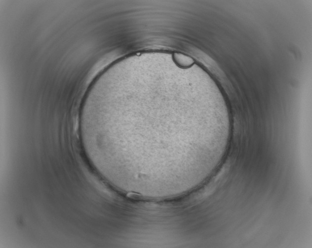 X0000113901234200910221431