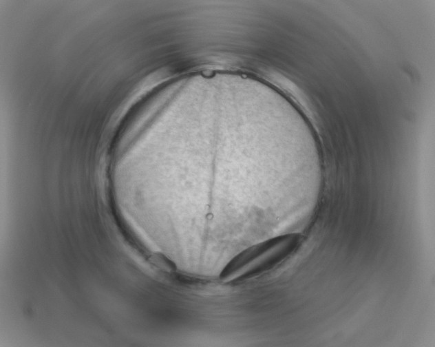 X0000113901235200910221431