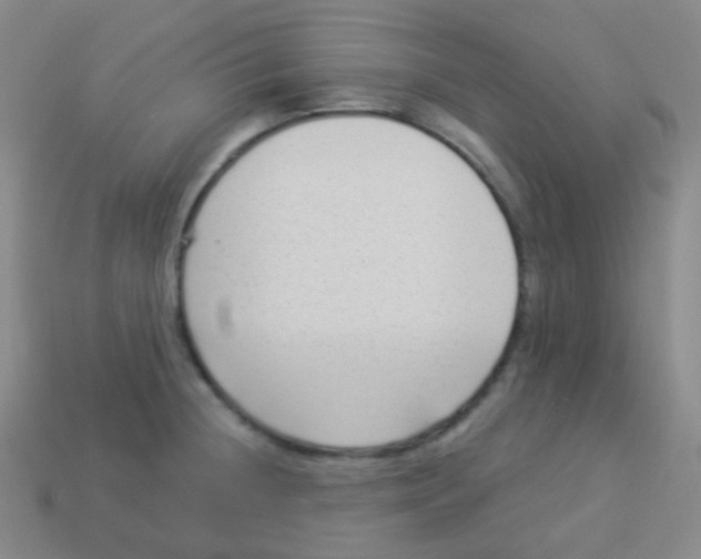 X0000113901236200910221431