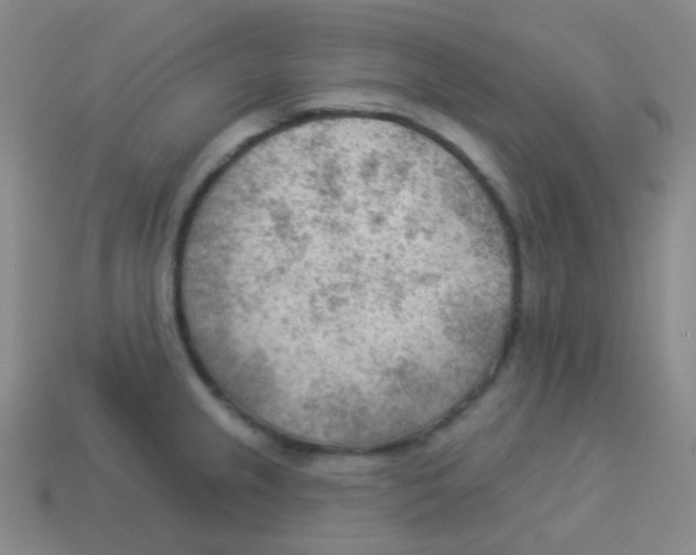 X0000113901237200910221431