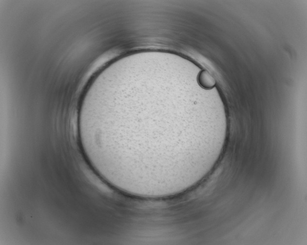 X0000113901238200910221431